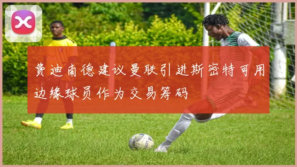 费迪南德建议曼联引进斯密特可用边缘球员作为交易筹码